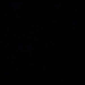 Meet your Posher, Kiara